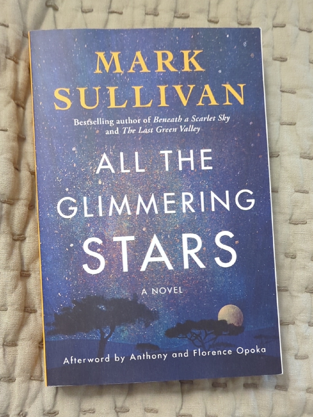 New All The Glittering Stars